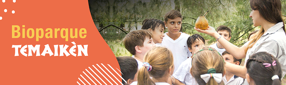 Catamaranes Educativo
